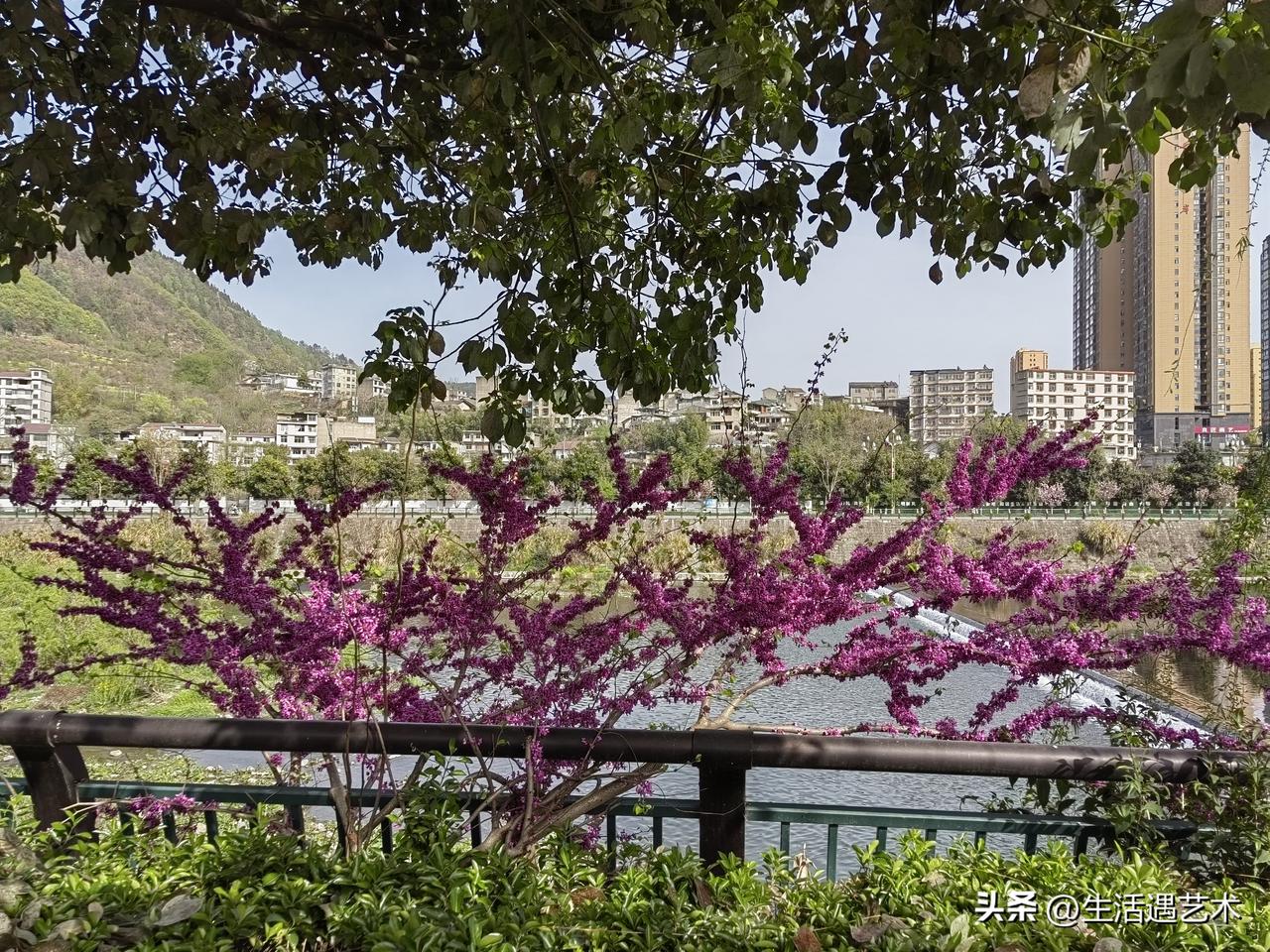 晒图笔记大赛陕西平利县一处美景
