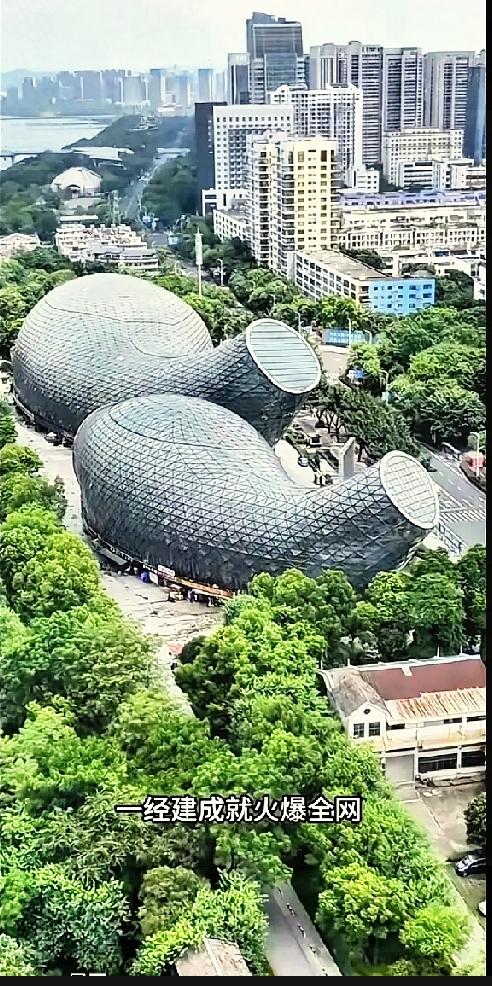 耗资3亿打造的柳州网红地标，本意设计两条鲤鱼，网友看完却脑洞大开疯狂调侃！

它