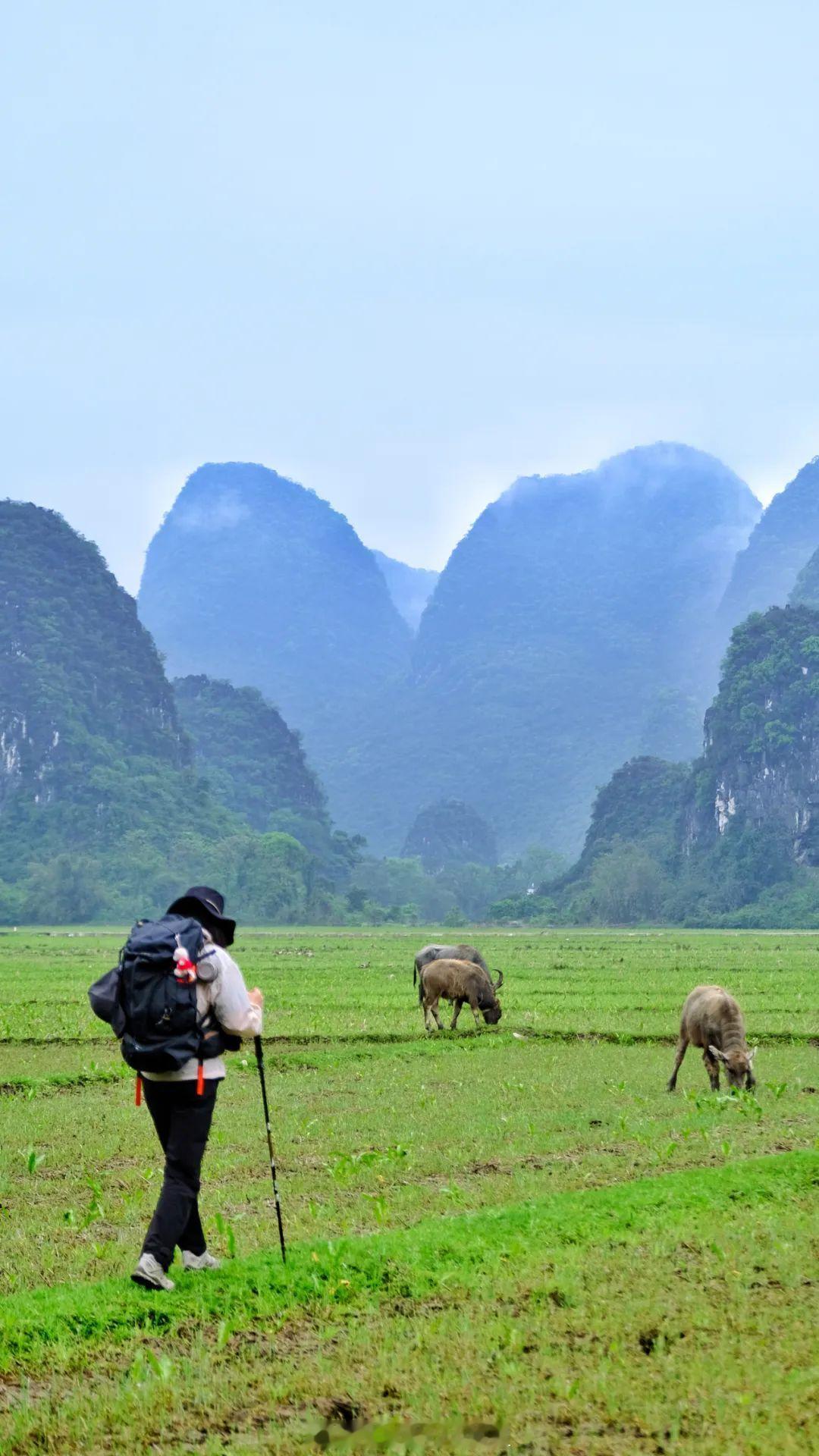 #桂林旅行#五一有在桂林的小伙伴吗？点个赞！[爱你]  ​​​