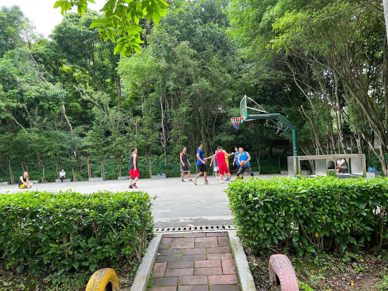 于海青：为何说广州人的生活丰富多彩？ 广州具有浓郁的岭南风情，因为这个地方有着独