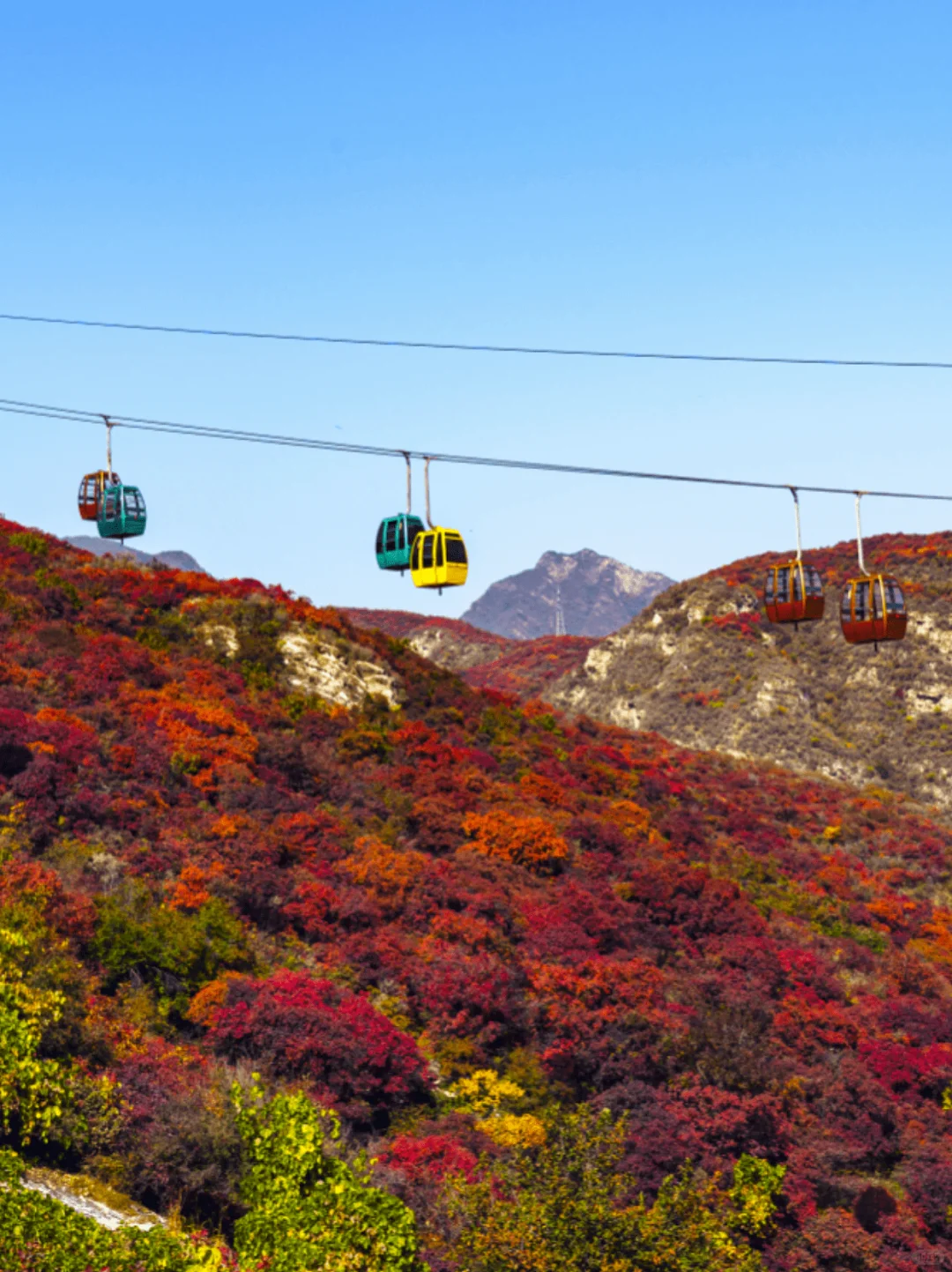 10.19日坡峰岭实拍🍂想看看你们捡的秋天呀