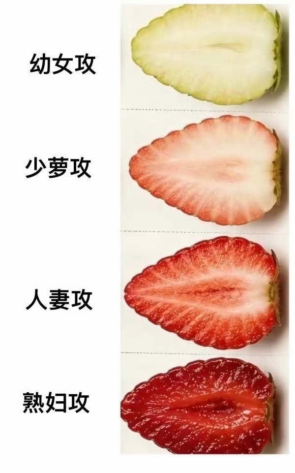8059【】代谁 