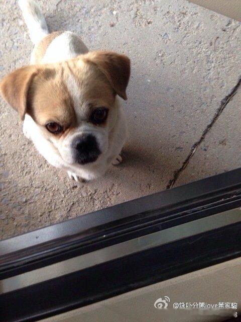 666天，宝贝❤️ 