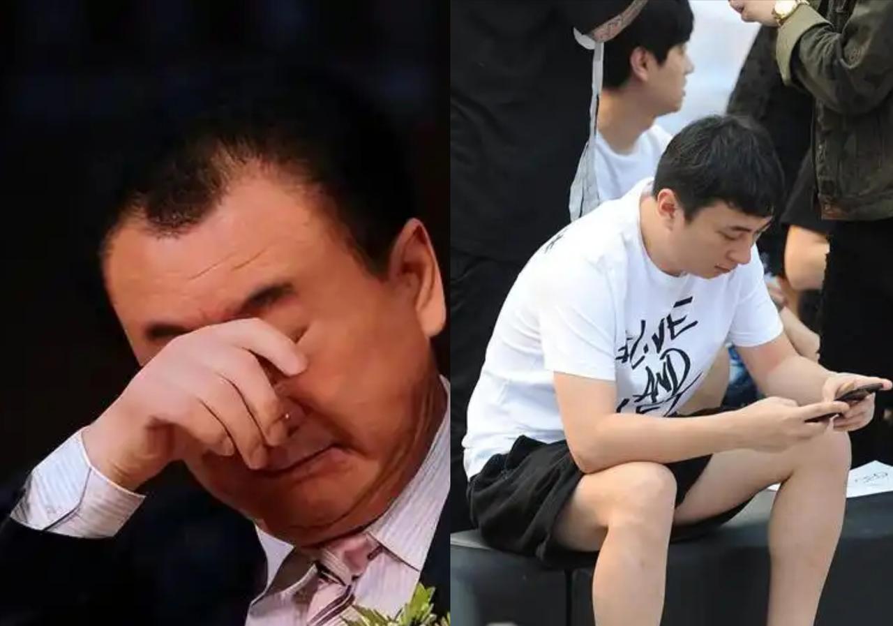 王健林被限高后王思聪立即移居日本，这时间点巧合得不像巧合！71岁老父在国内扛着7