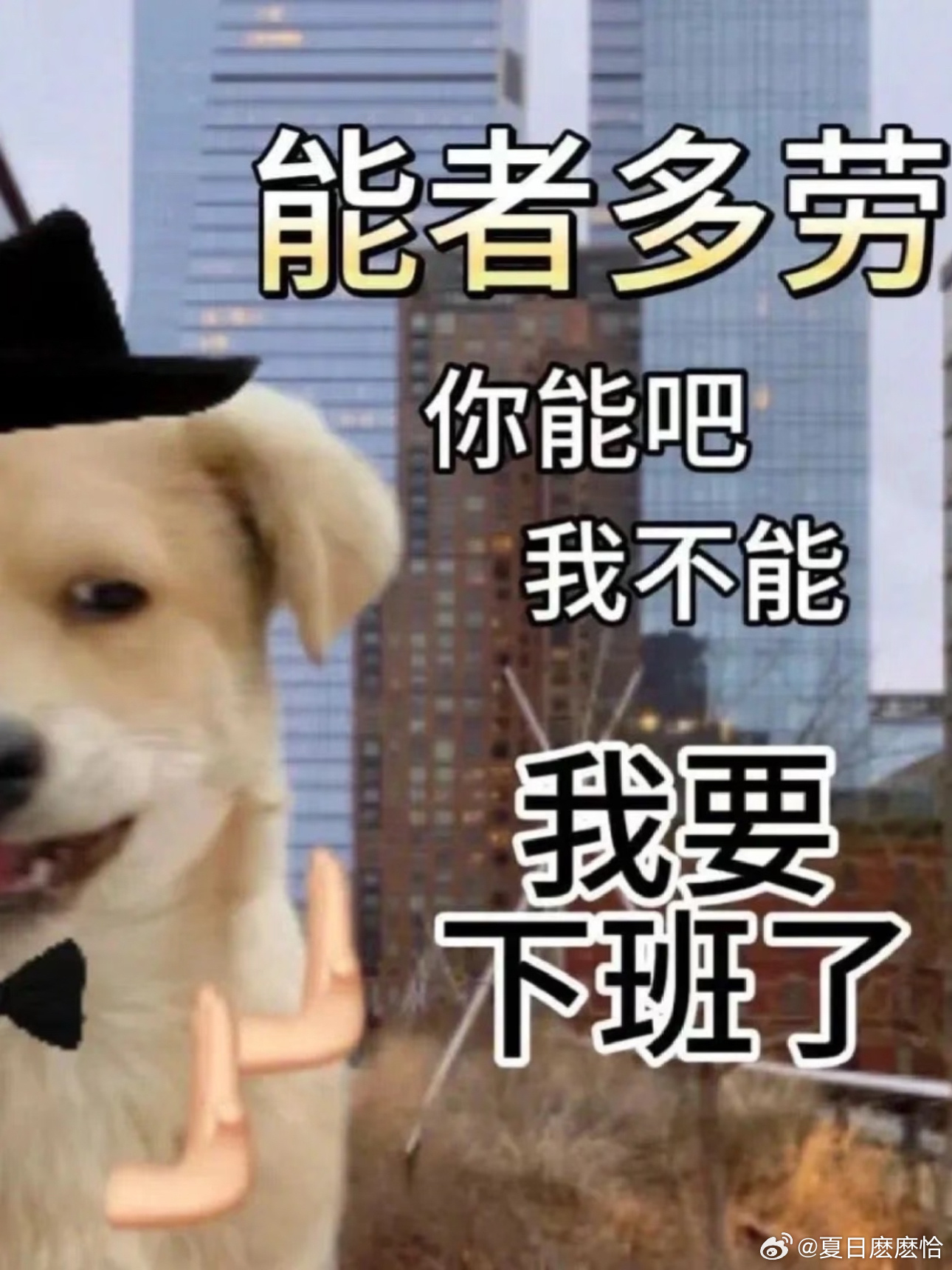 建议整治企业无序加班超时工作清汤大老爷们多呼吁呼吁发发力吧拒绝无效内卷，拒绝透支