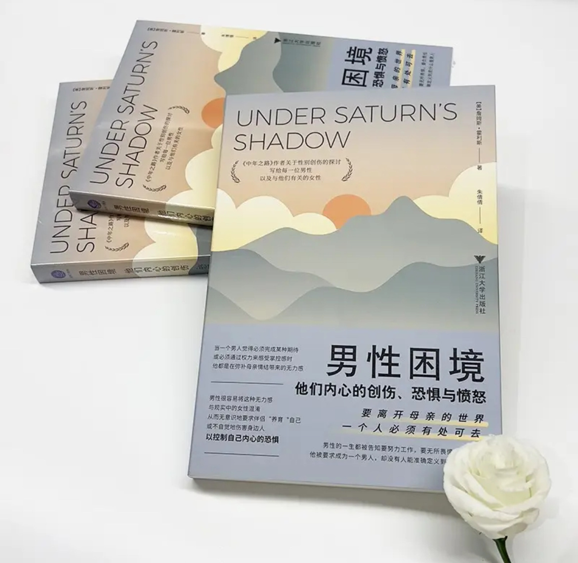 这真是看书名就完全不想买，作为男性，一生占尽了便宜，我那点与性别有关的困境，简直