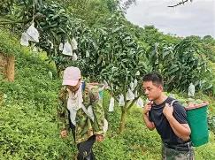 第十八届“重庆·台湾周”开幕，深耕乡村沃土 共拓合作蓝海 台商台企考察重庆梁平共