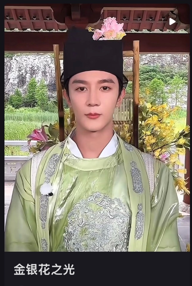 金银花之光 