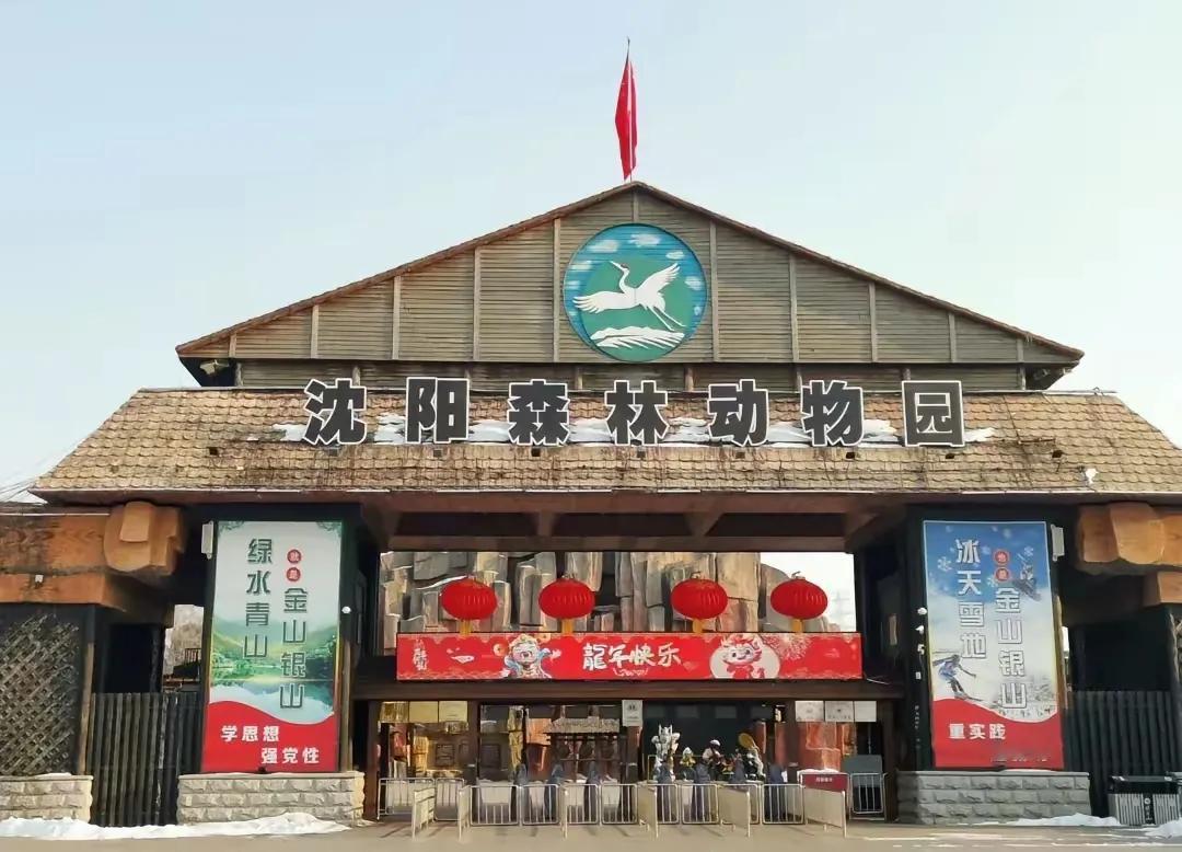 沈阳森林动物园要搬迁！一代人的棋盘山回忆要谢幕了✨
 
听到森林动物园将要搬迁的