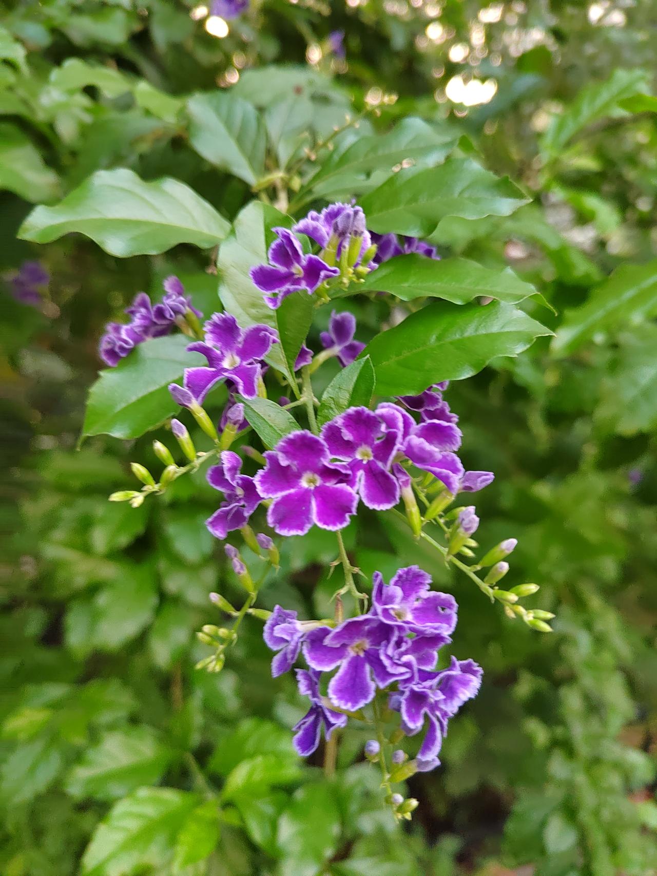 老股民送给年轻股民的十句话
 
第一句：别追求满仓暴富，追求心安稳利
天天满仓博