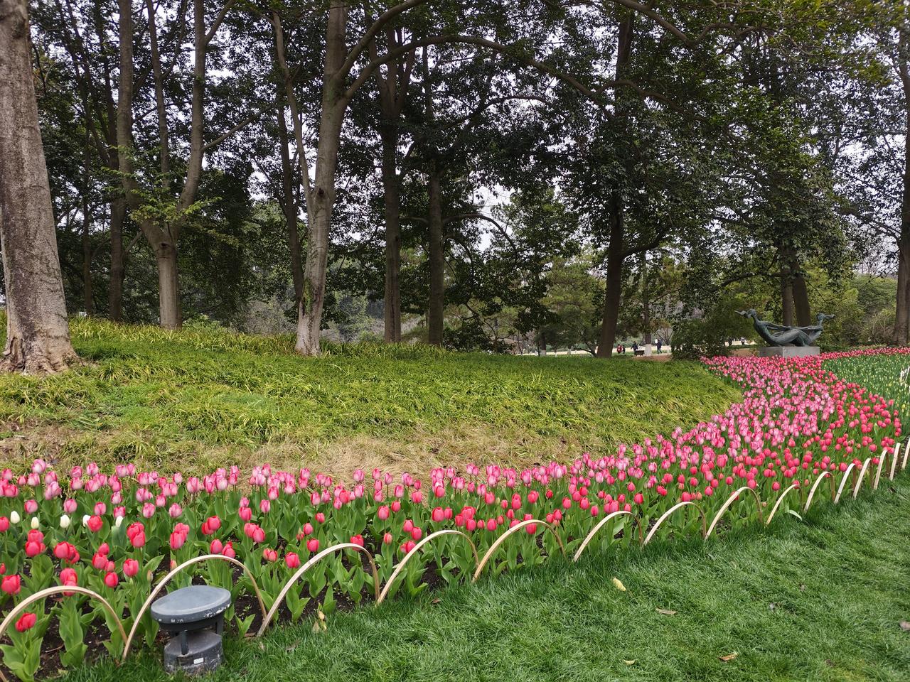 现在没人敢打美国兵的时代已经一去不复返了。美国非法驻军在叙利亚，美国就是强盗，犯