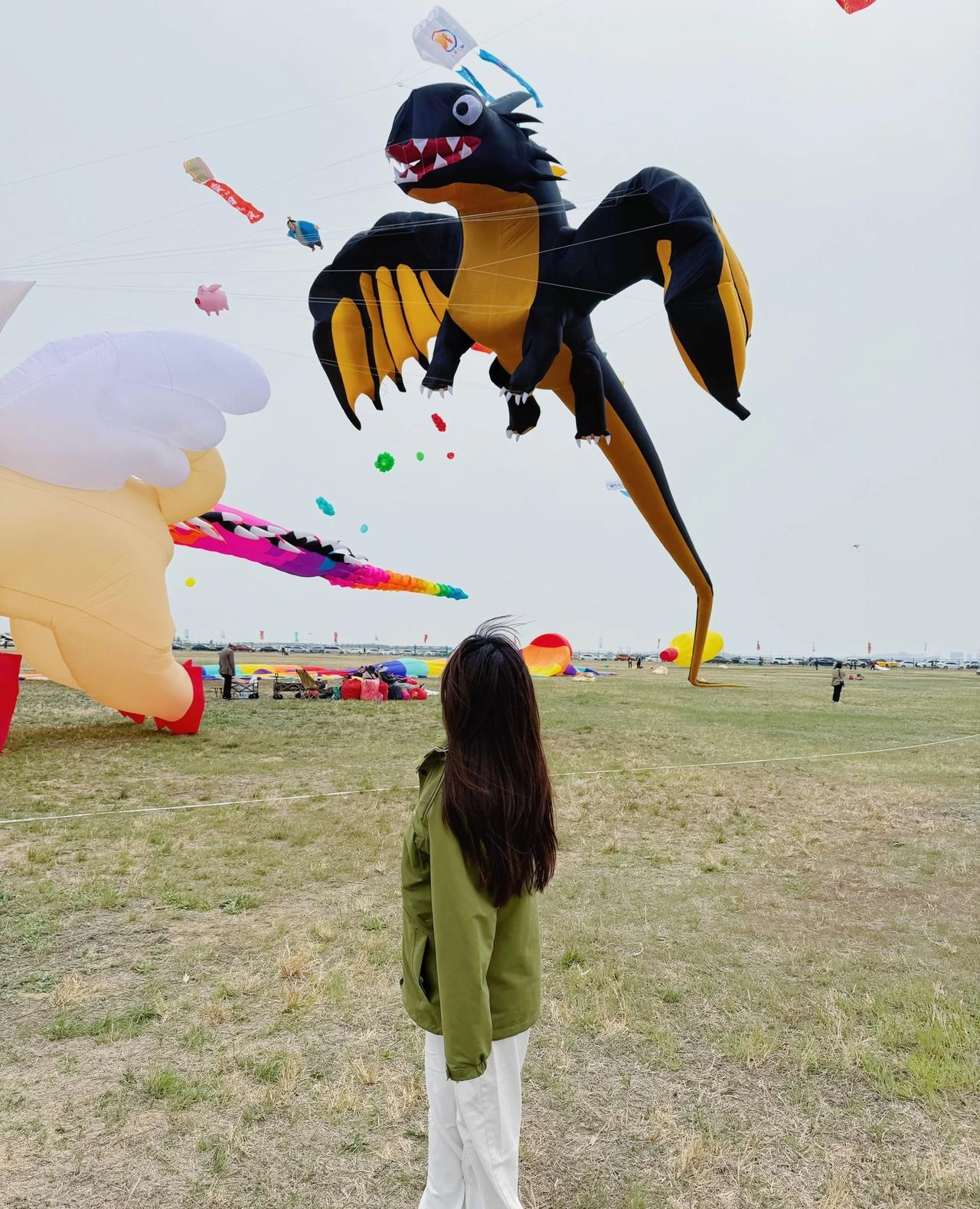 潍坊的风筝也是越来越抽象了。
春天来了，风也来了，潍坊的上空也热闹起来了。
越是