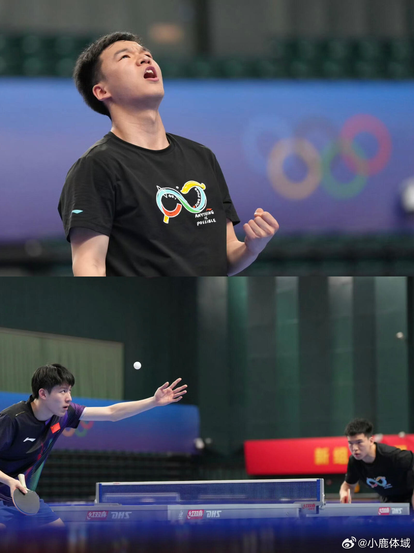 国际乒联向鹏夺得伦敦世乒赛参赛资格向鹏赢得男队第二次选拔赛冠军，获伦敦世乒赛参赛