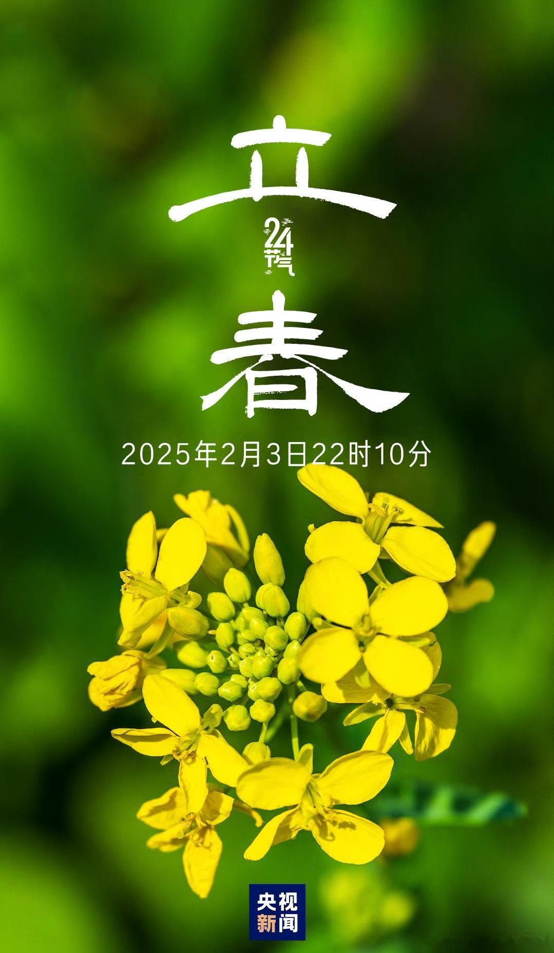 今日 立春  一年之计在于春，大年初六，愿您不负春光，吉祥如意[心] 