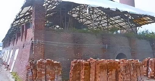 太狠了！河南安阳，男子为了省钱，找了12个智力残障人员在砖厂搬砖，一天工作12个