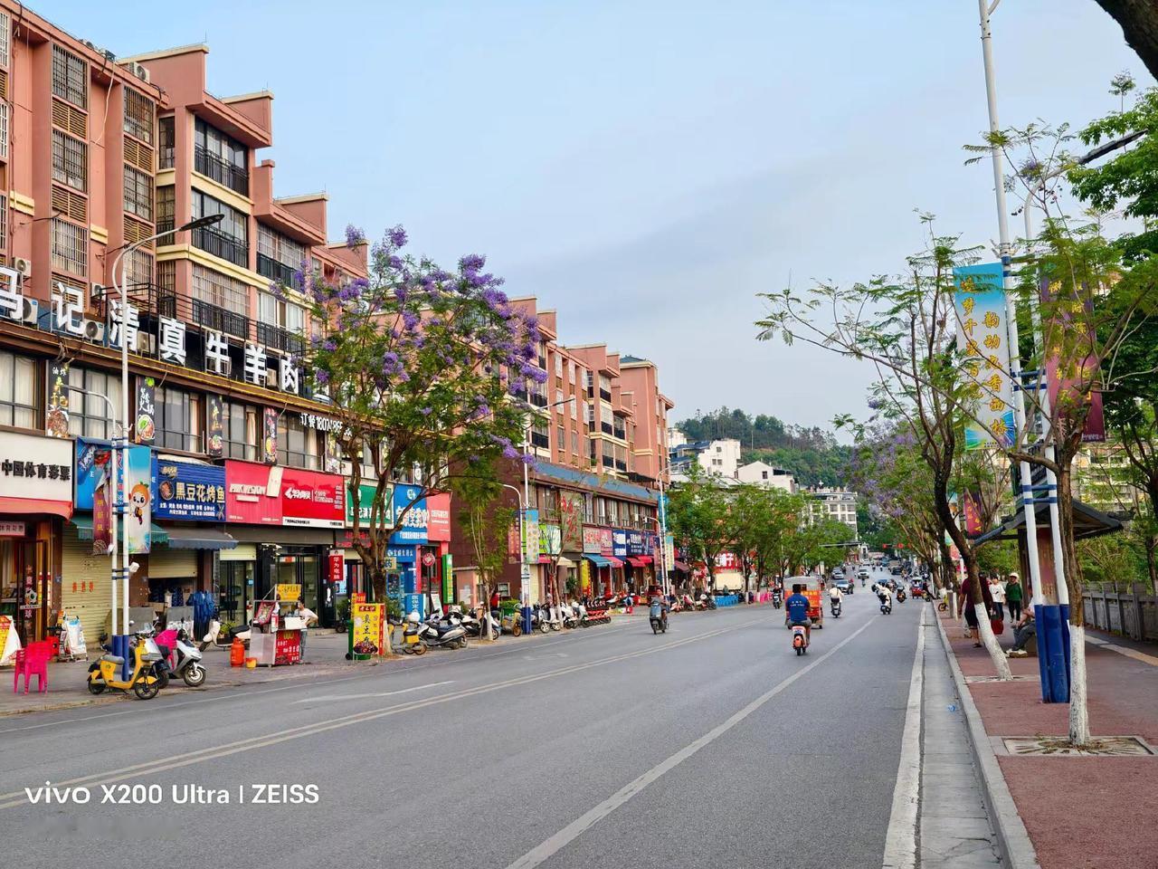 美丽的蓝花楹开满小城，不温不热，刚刚好。