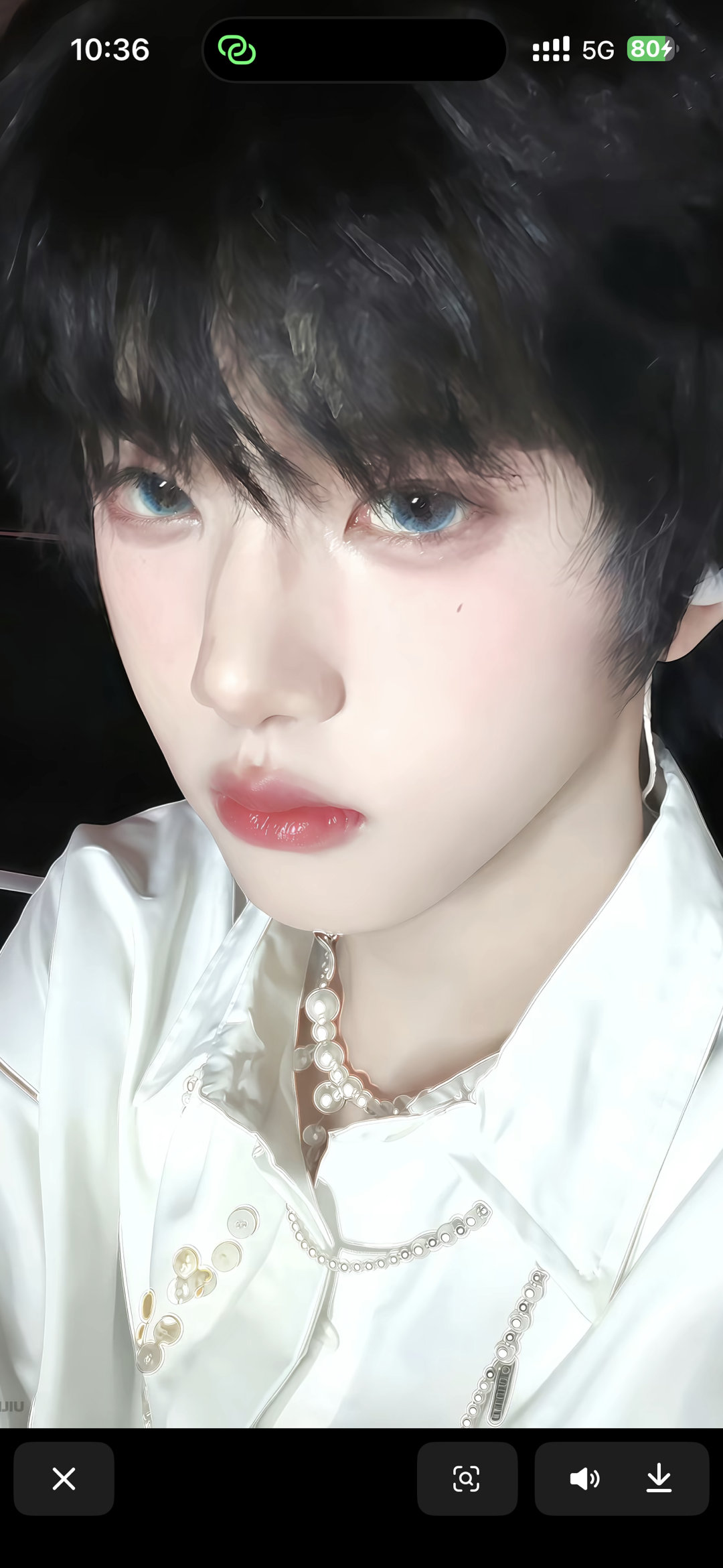 猫呀 我家猫呀 我家瑞瑞猫呀 我家满分猫呀 我家小可耐呀 