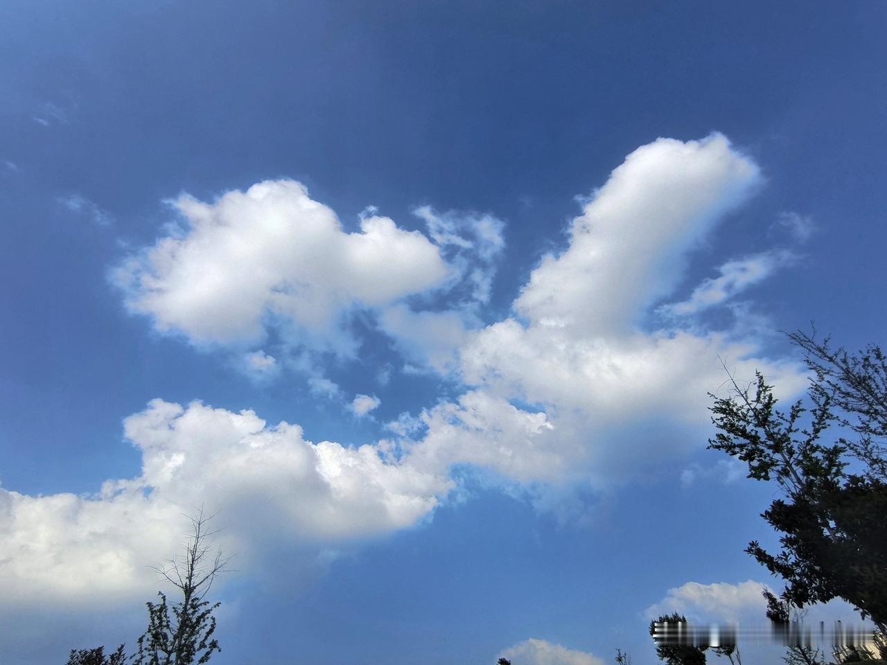 如果人人都富裕
富裕不可能平均
有人富的一般般
也有富的能上天
再富都得有差距