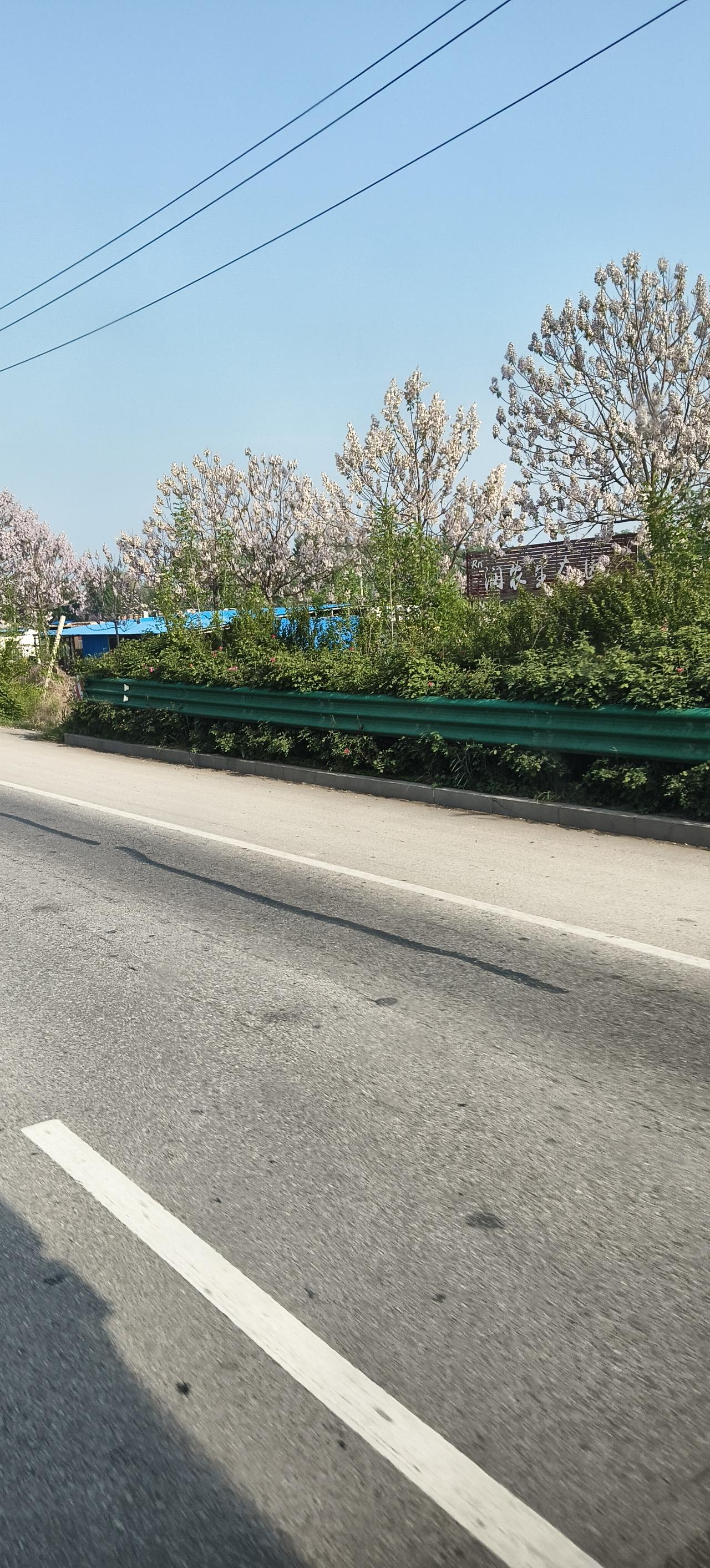 今年春天，我最想实现的心愿就是去一趟江南古镇。想象着漫步在青石板路上，感受着微风