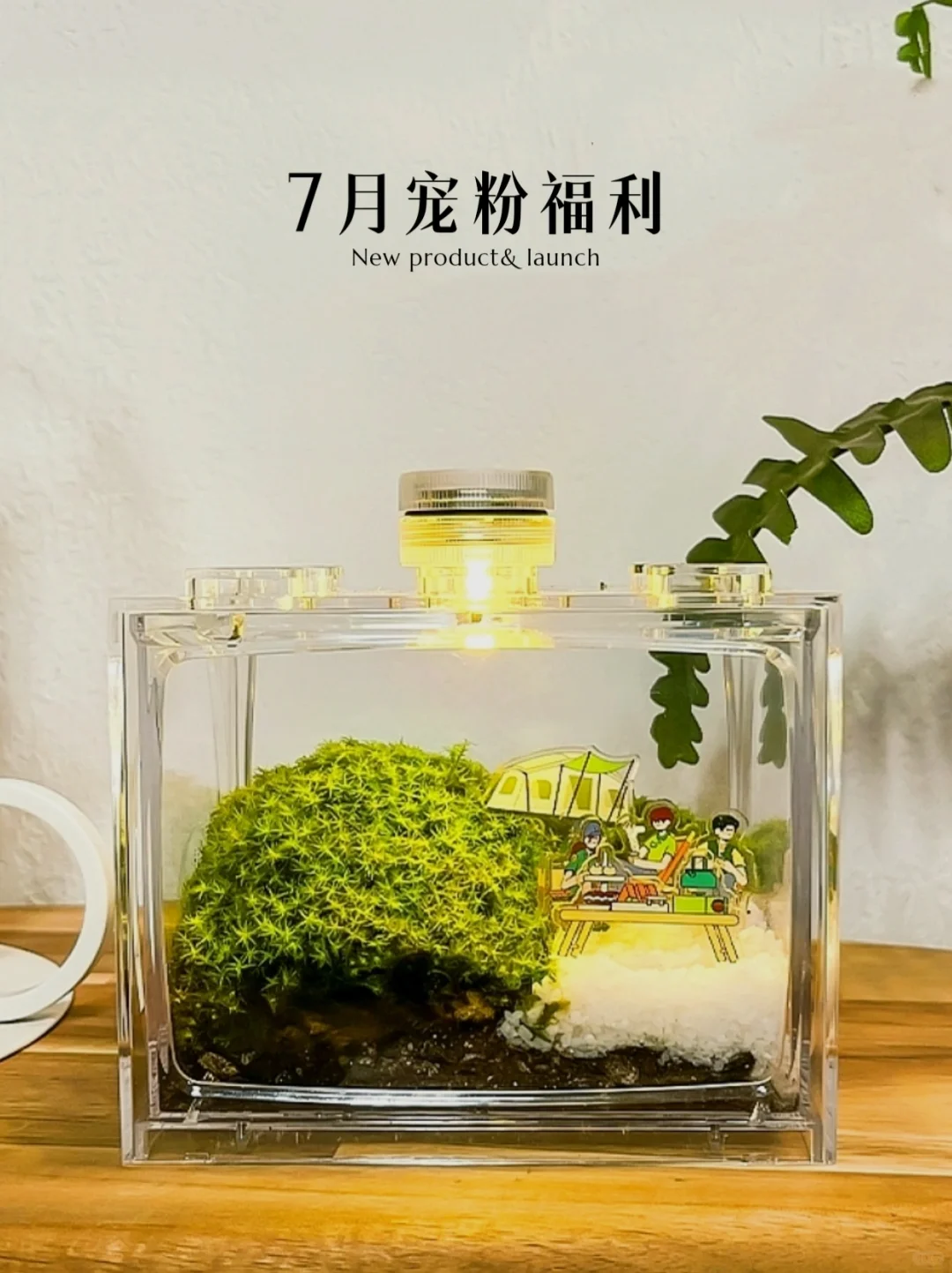 想送公司班味儿很重的姐妹～治愈系苔藓公寓