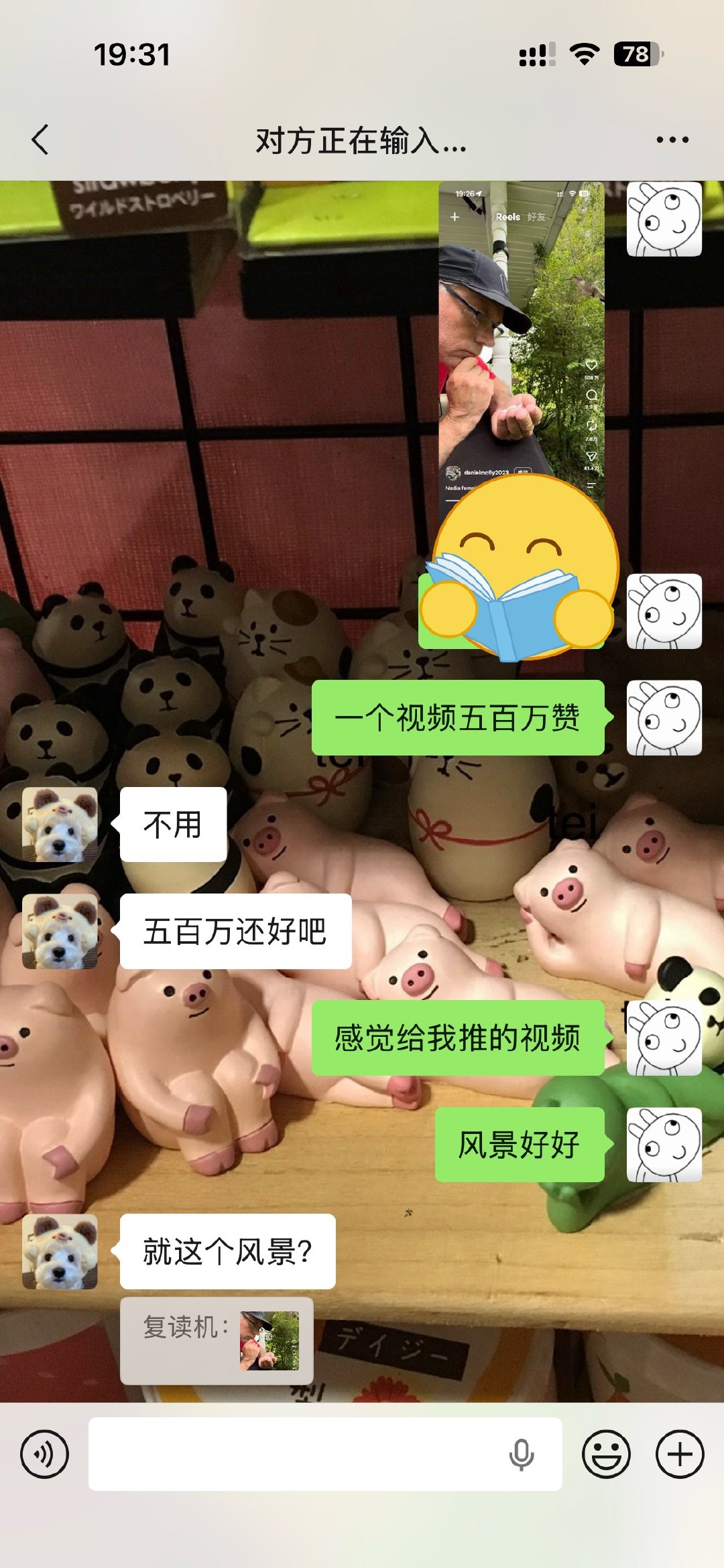 我笑不行了 