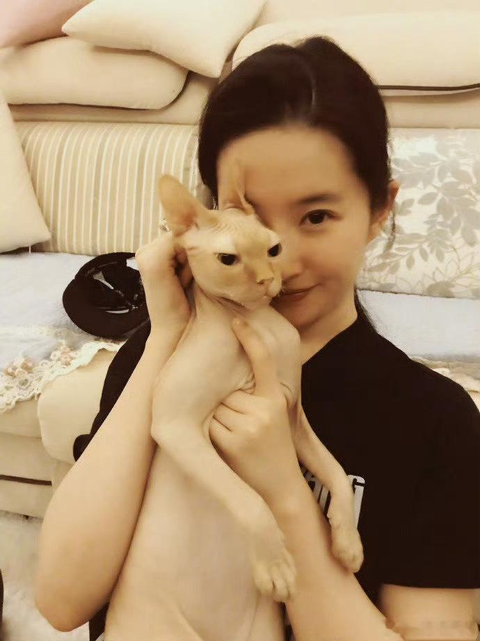 #刘亦菲真的有把猫咪当家人#刘亦菲人美心善，猫咪是她的家人宝贝。多年捡猫，传递着