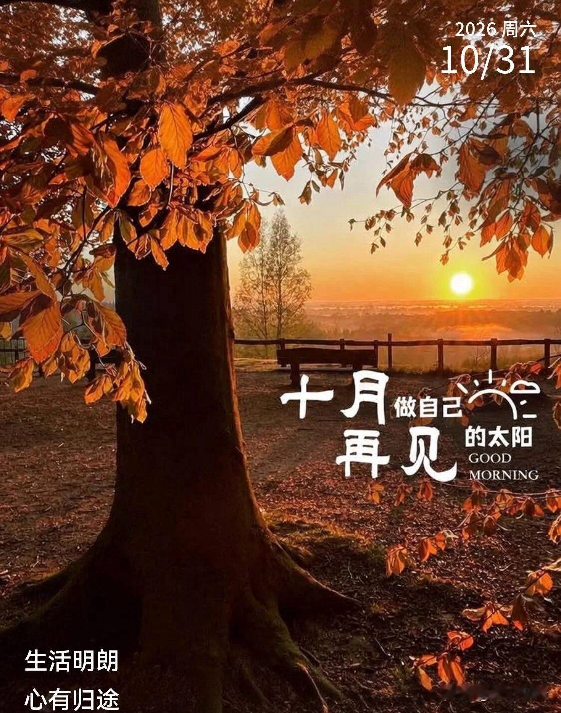 🍂²⁰²⁶/₁₀.₃₁ ᵕ̈ 周六早安｜万事和顺☕️🍒🍑🐎
暮秋将尽，今