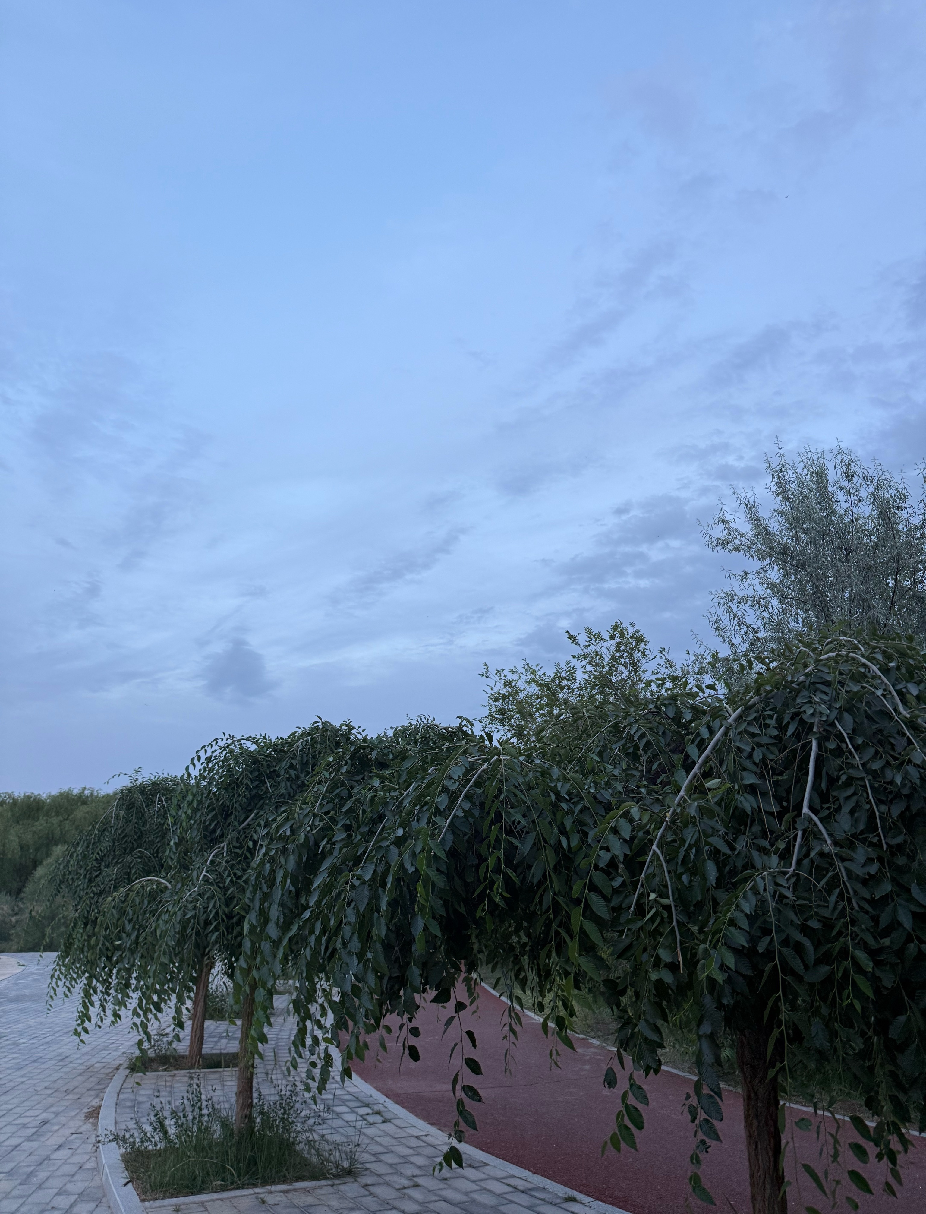 这是九点的天空