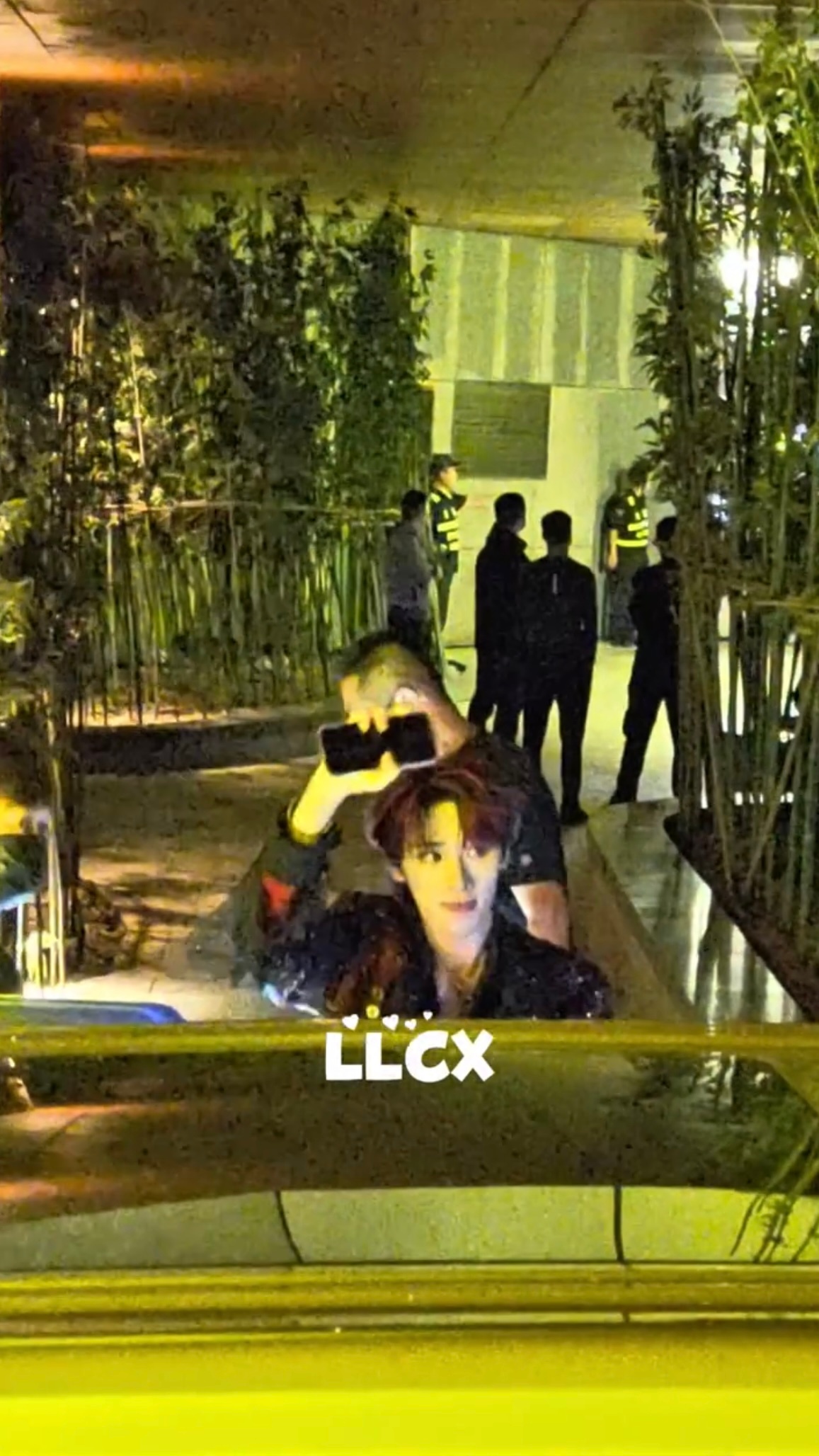 这一整条路亮得跟白天似的 