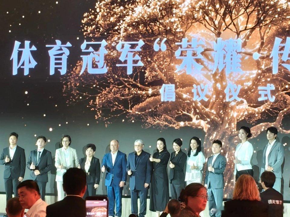 12月12日，汪顺参加体育冠军“荣耀”传承计划倡议仪式顺流而上