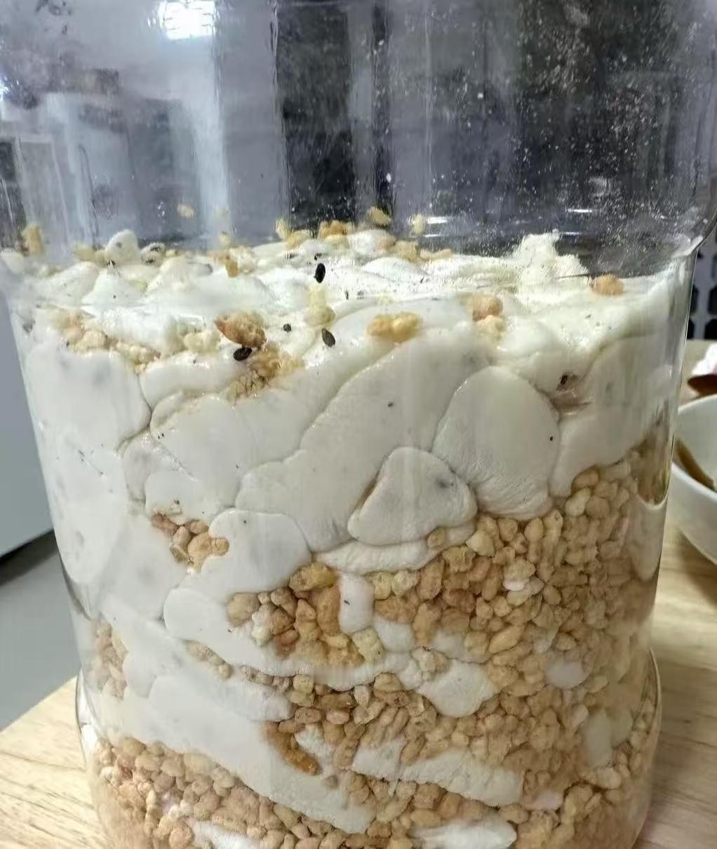 哪位网友有好办法能拿出来 