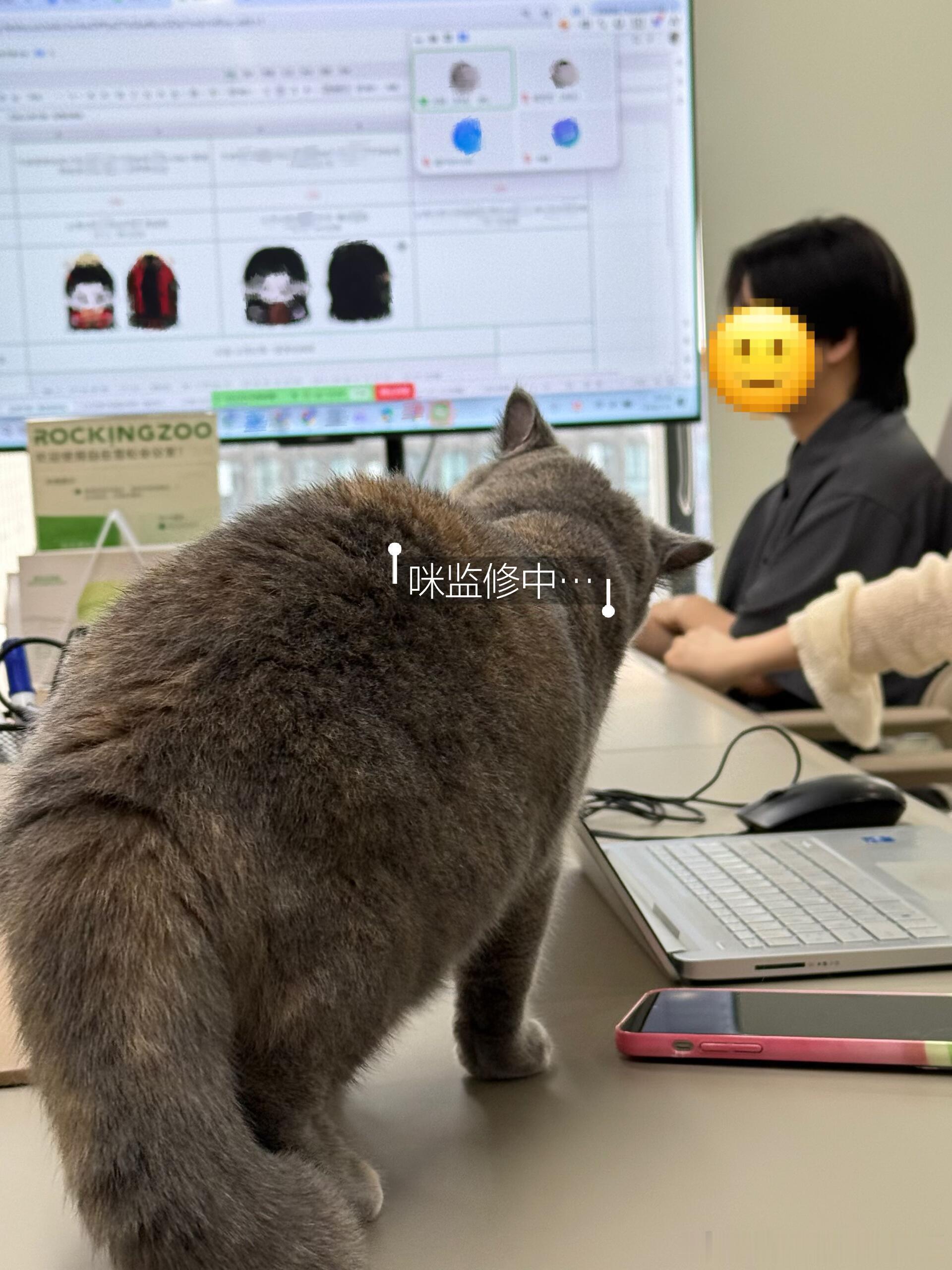 摇滚动物园爸爸是让喂猫在监修郑适和楼启炎娃娃的设计方案吗