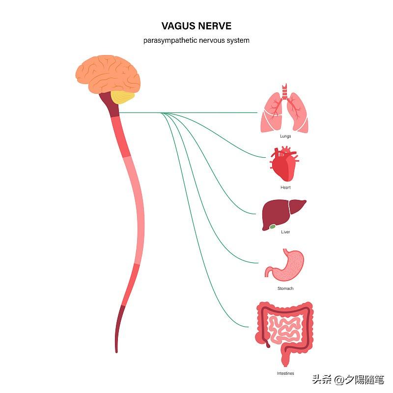 之前连着熬了一周赶项目，某天凌晨突然胸口发闷喘不上气，手麻到拿不住水杯，挂了急诊