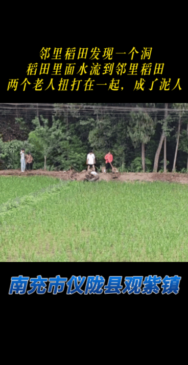 南充市仪陇县观紫镇，两个老人扭打在一起，起因是一位老人发现自己稻田出现了一个洞，