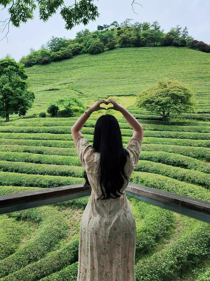 或许自由，更胜一筹。