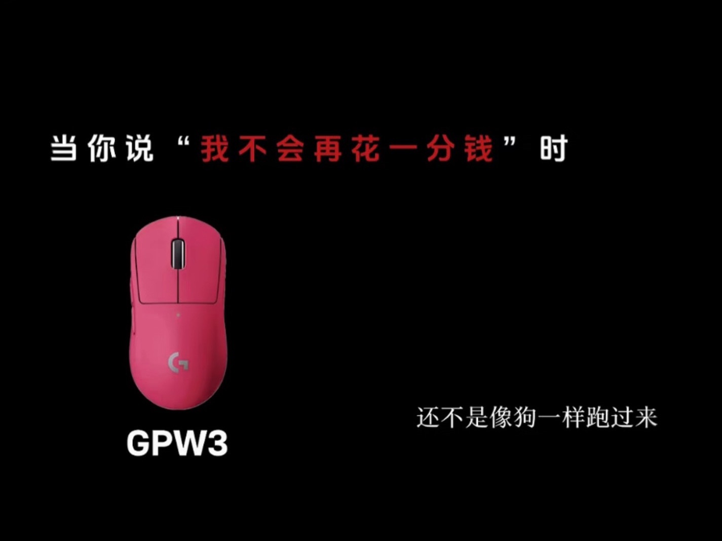 罗技中国区营收喜人 曾侮辱顾客是狗当你在一个领域做到极致，就是可以为所欲为，罗技