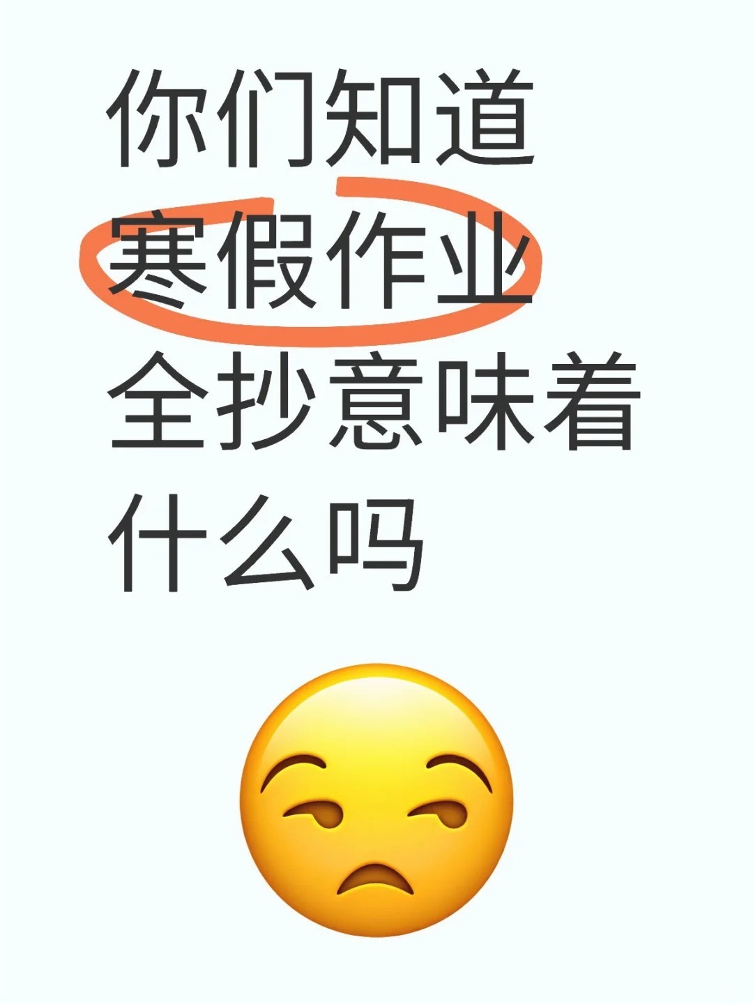 你们知道寒假作业全抄意味着什么吗(┯_┯） 