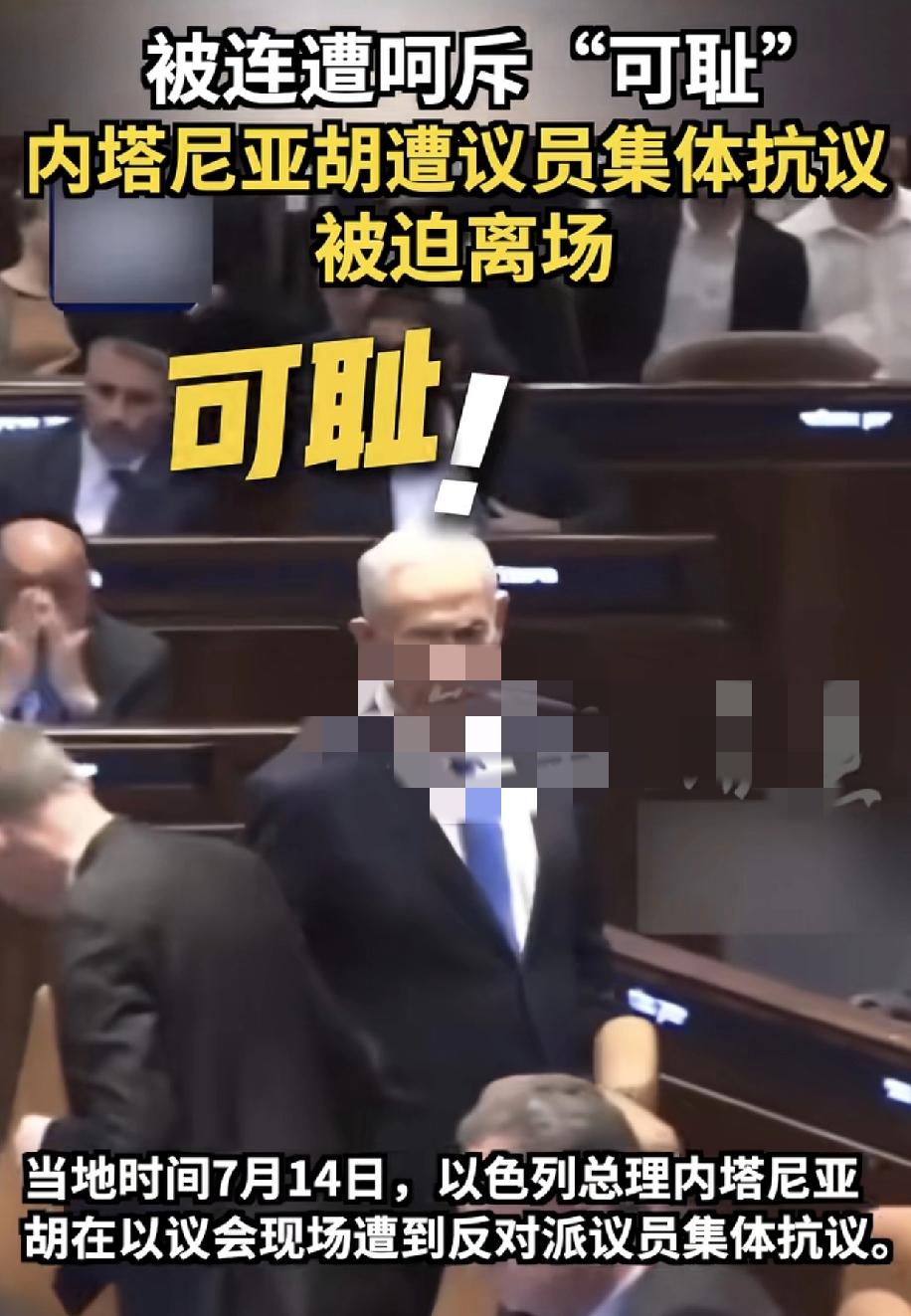 这些以色列议员真蠢货，尿壶已经够毫无人性了，带上老美，以及欧洲拉偏架都搞不定，还