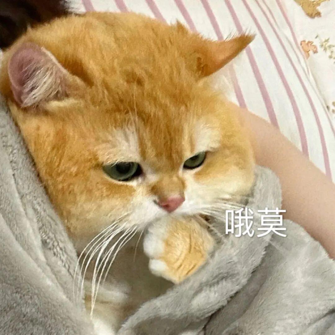 吴宣仪wxy吴宣仪新歌难道说 我去，才十点超喜欢就已经过八千一了！好牛啊！咱今天