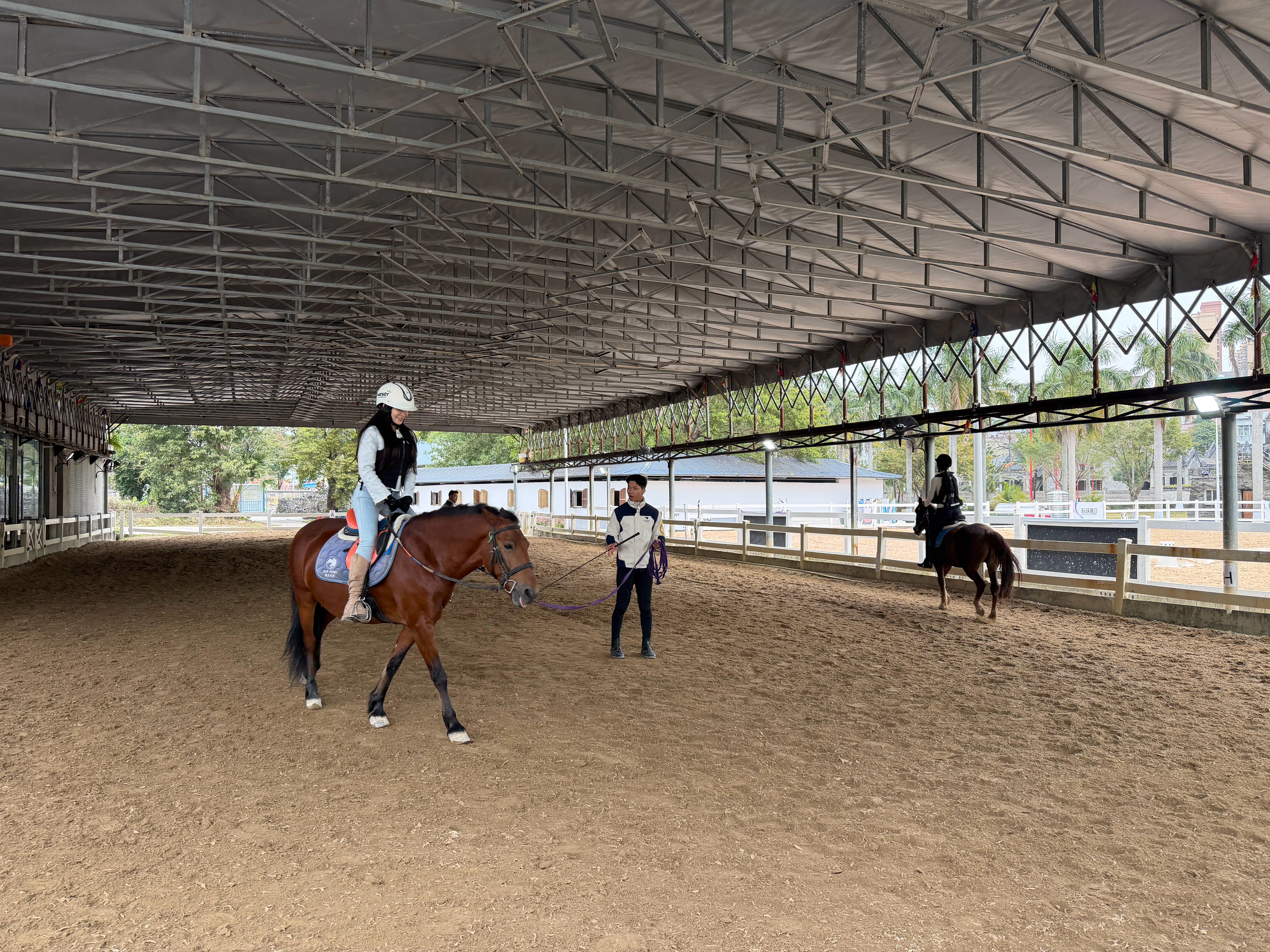 今天来学骑马马到成功。这马叫做迪奥，它一直看着我，为什么呢。 