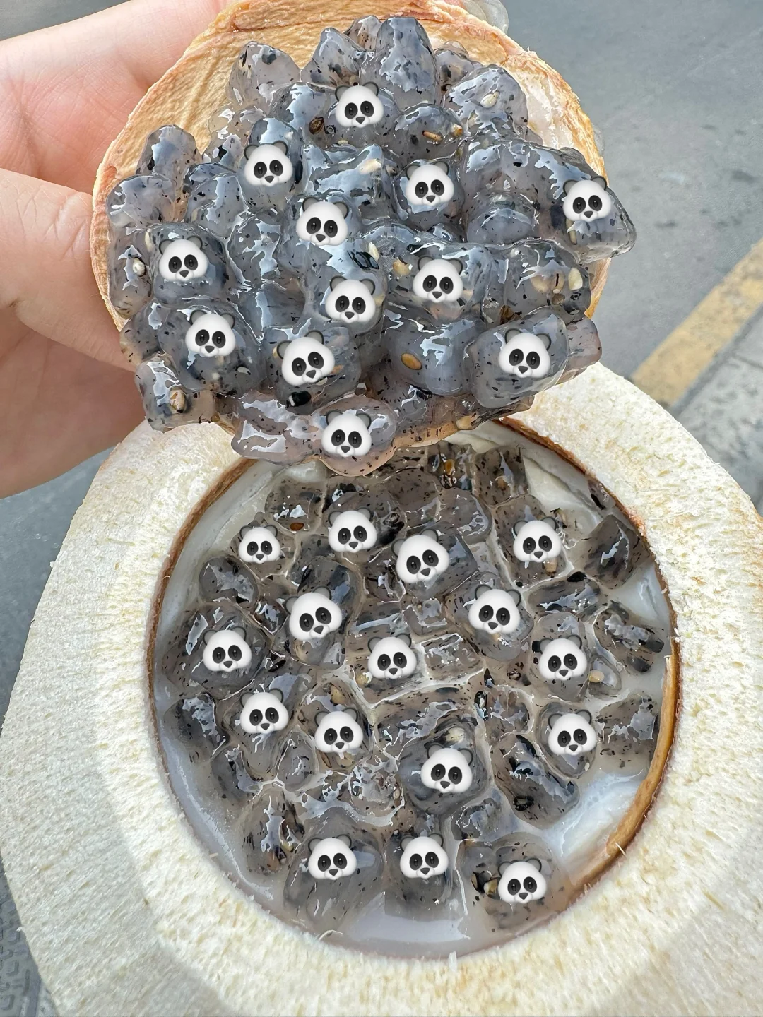 老天奶！！！南京也能吃到了！！！