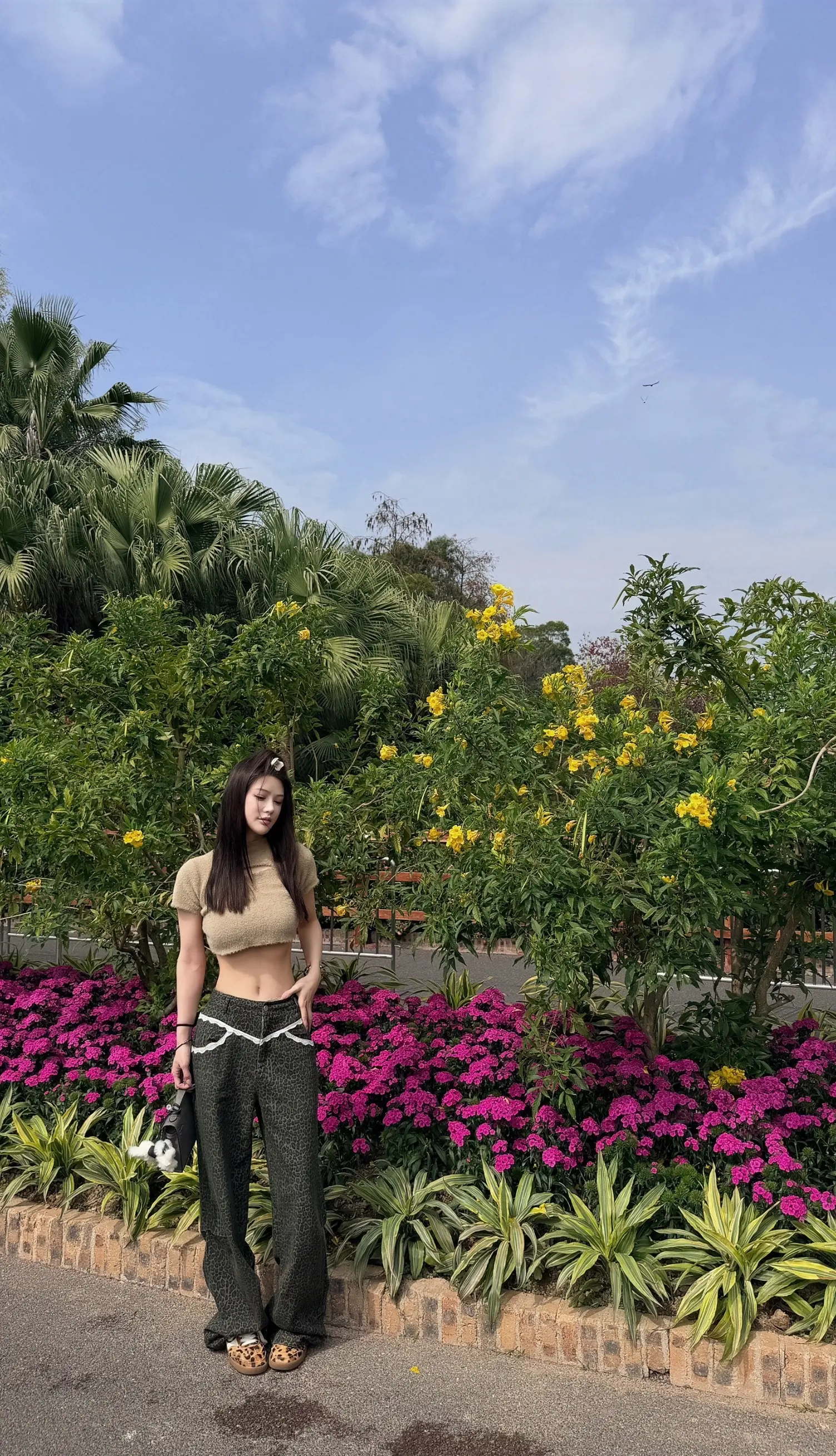 落在生命里的风和光都是好天气