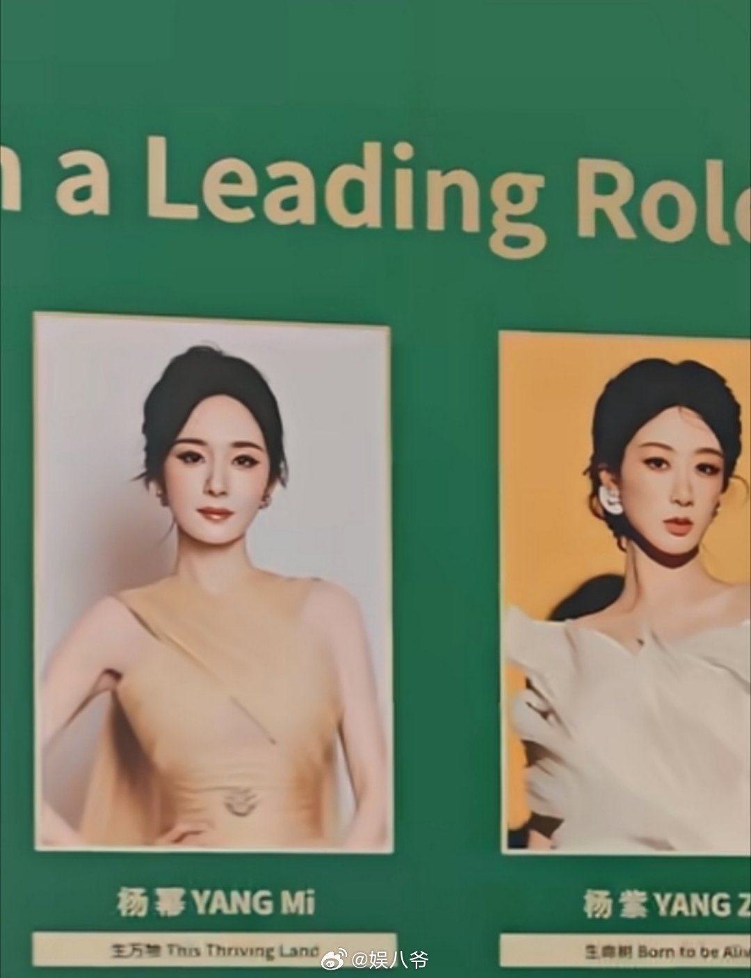 杨幂，杨紫白玉兰最佳女主提名公式照，大家觉得谁能摘下白玉兰
