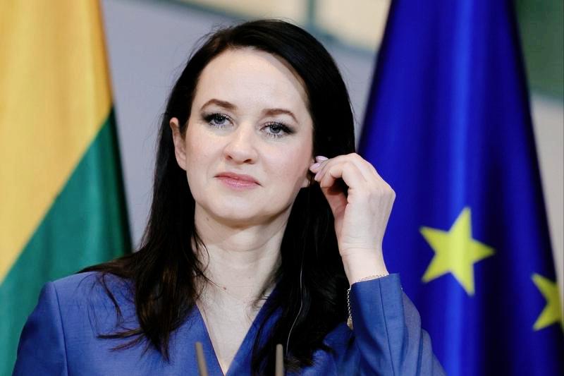 不演了！立陶宛内讧，把家底都吵出来了！
     最近上演了一出好戏，政府内部因