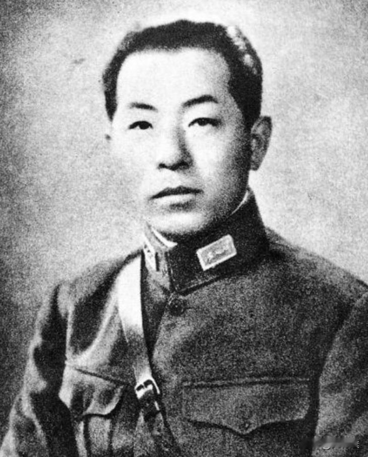张学良当时能命令整个东北吗？


一九二九年一月十日，沈阳大帅府里响过几声枪，外