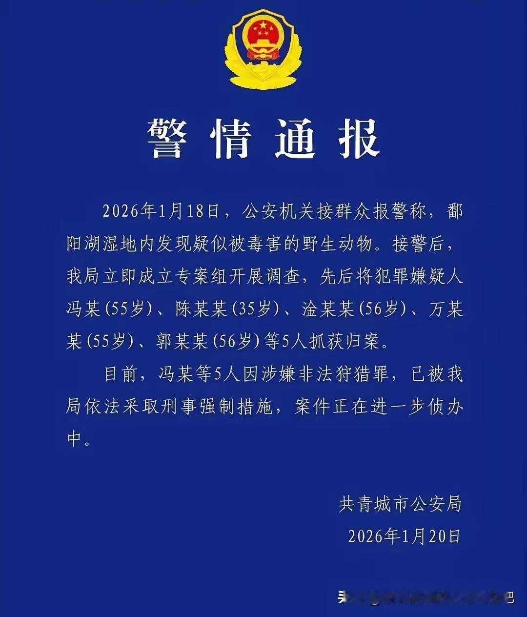 鄱阳湖5个人毒死百余只鸟，4个人都是55，6岁，一个35岁的年轻人，全部都是法盲