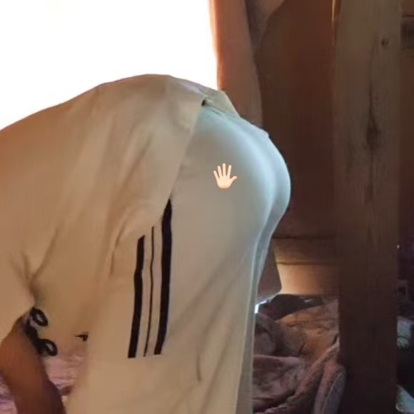 给我摸摸 