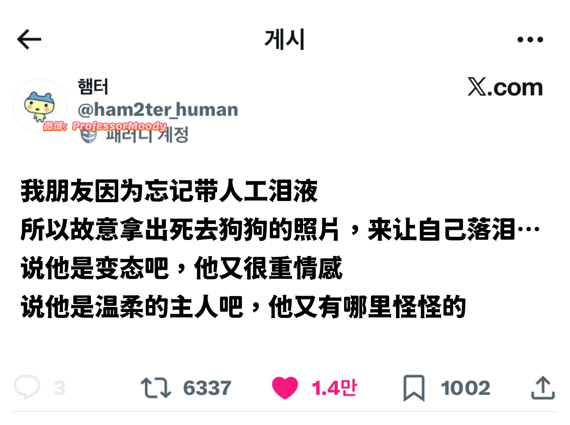 天上的狗狗：？？？meme ​​​