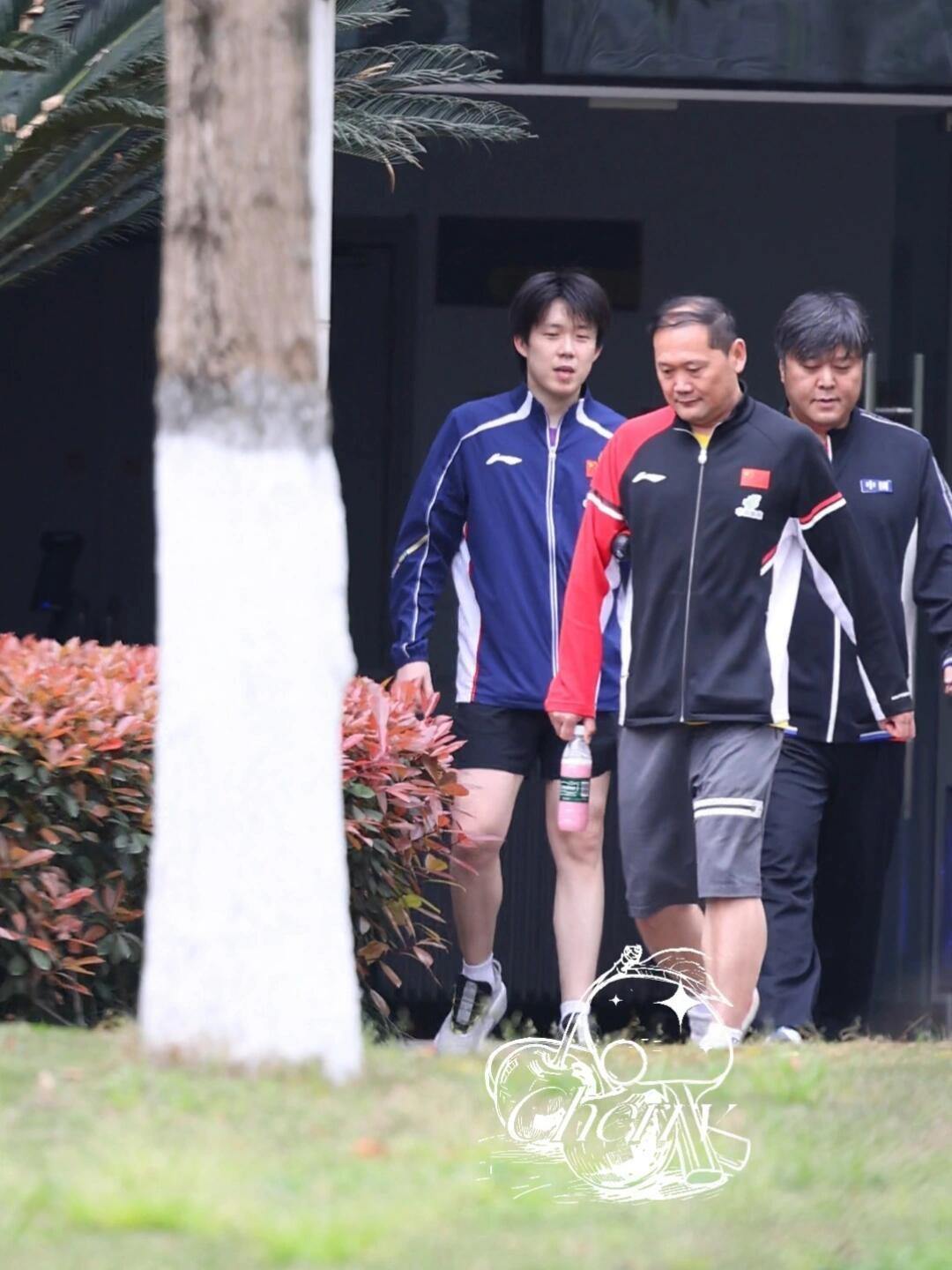 王楚钦又训练了，好像变得白嫩了！
楚钦换完教练后发现整个人都好起来了，自由自在，