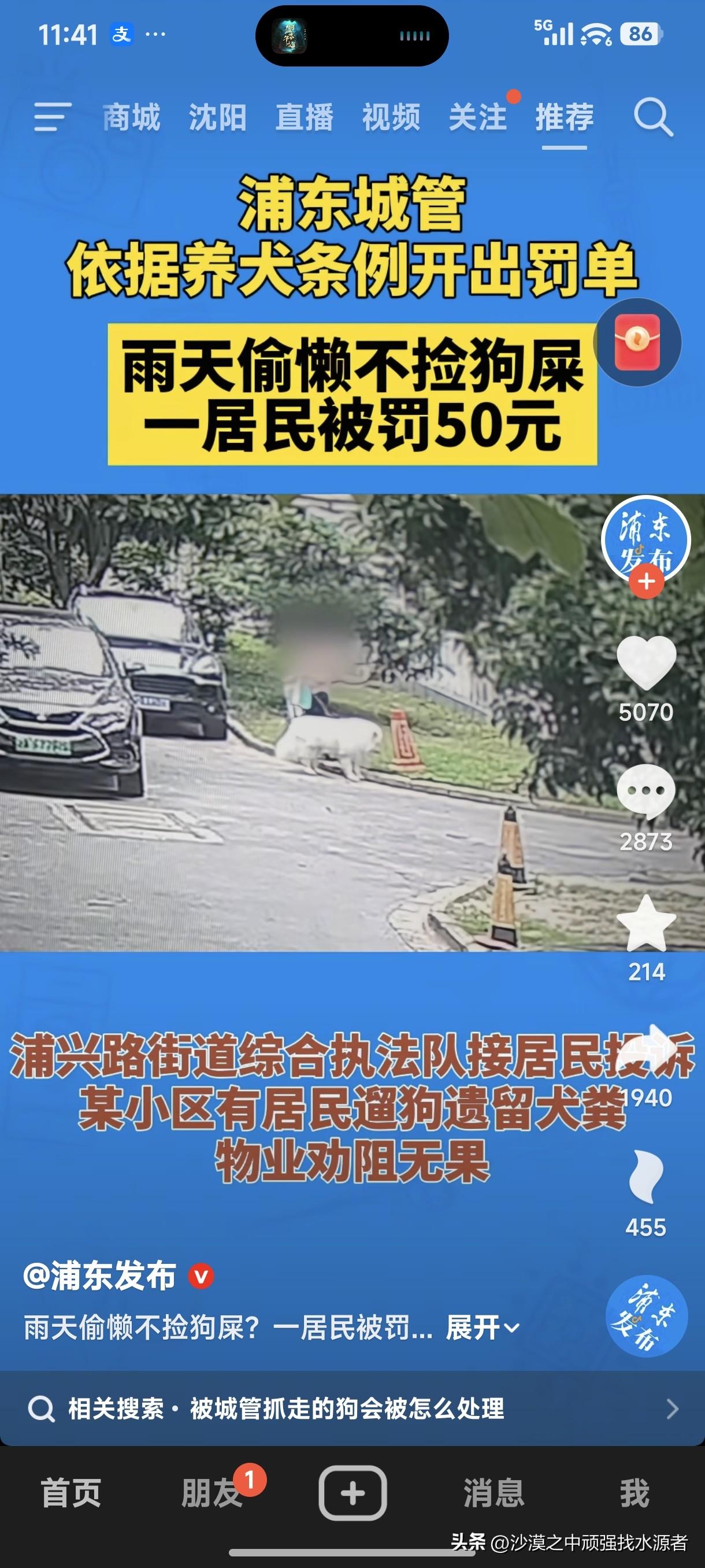 浦东城管依据养犬条例开出罚单，雨天偷懒不捡狗屎，一居民被罚50元。
这就对了！就